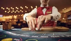 acebet Cartas Cactus De Plata: la mesa que más nos piden
